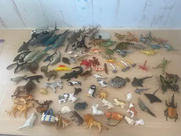 물고기 해양 생물 동물 공룡 벌레 피규어 세트