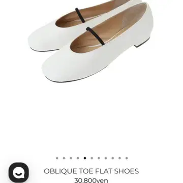 CLANE OBLIQUE TOE FLAT SHOES 37