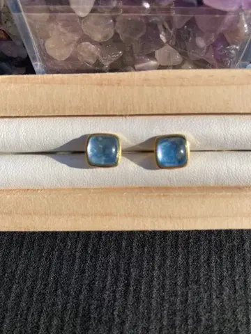 SALE SV925 (바늘 부분만) 래브라도 라이트 귀걸이