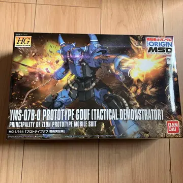 HG YMS-07B-0 프로토타입 구프 1/144 건담 ORIGIN