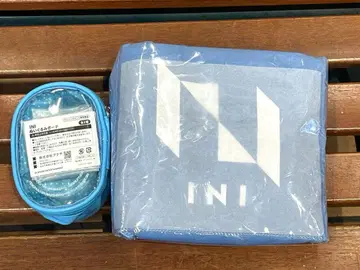 LAPONE INI gigo 한정판 봉제 인형 파우치 토트백