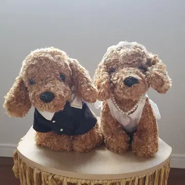 토이 푸들 강아지 봉제 인형 턱시도 & 웨딩 드레스