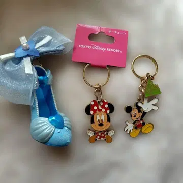 도쿄 디즈니 리조트 키링 세트