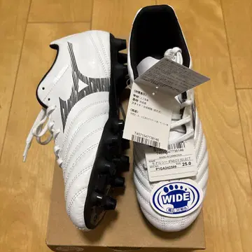 Mizuno 모나르시다 NEO3 25.0cm