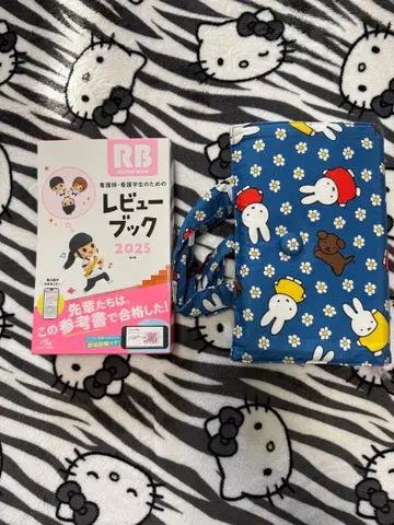 간호사 간호학과 학생을 위한 리뷰북. 2025 (필기 없음)