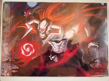 BLEACH 블리치 브레솔 클리어 파일 2종 세트