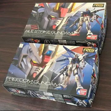 RG 1/144 에일 스트라이크 건담 / 프리덤 건담