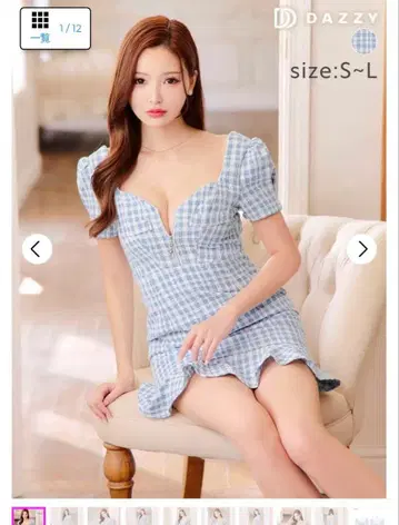 프론트 지퍼 트위드 깅엄 체크 반팔 머메이드