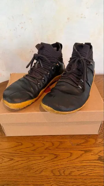 비보 마그나FG 42