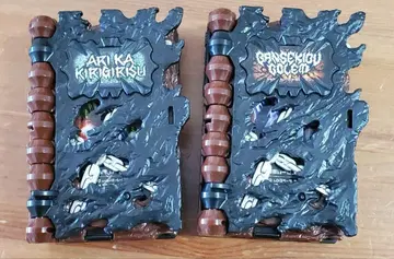 DX 알터 라이드북 세트