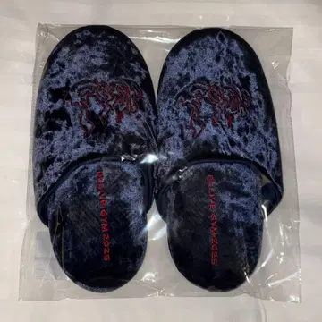 B'z FYOP 룸 슬리퍼 레드 L 4