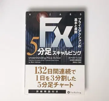 FX 5분 핑 프라이스 액션의 기본과 원칙