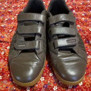 LACOSTE 다크 브라운 벨크로 스니커즈