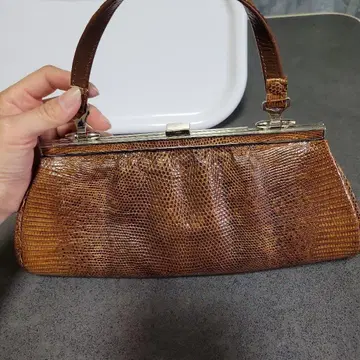 빈티지 뱀 도마뱀 백.