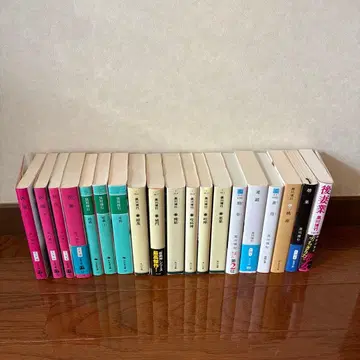 쿠로카와 히로유키 소설 19권