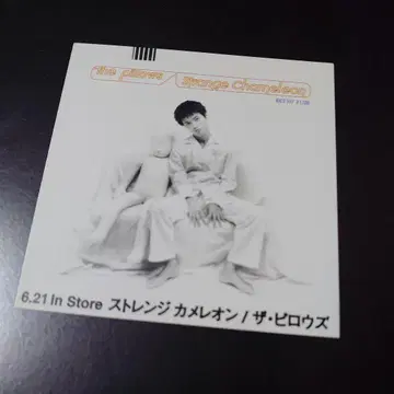 the pillows [ 플라이어 ( 스트레인지 카멜레온 ) ]