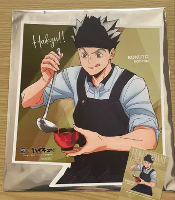 하이큐 오토야 보쿠토 코타로