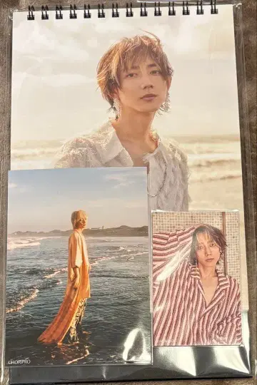 코마키네 아오타 탁상 달력 2026