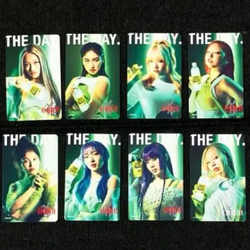 최신작 HANA x 바디멘테 전 8종 컴플리트 세트