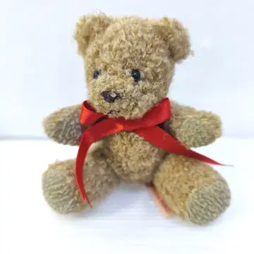 카네코 이사오 원더블 월드 테디베어 브로치 곰 코사지 브라운 B