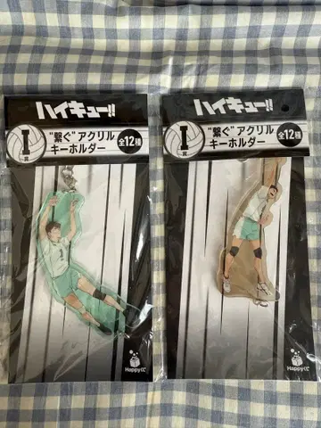 하이큐!! 제일복권 아크릴 키링 오이카와 이와이즈미