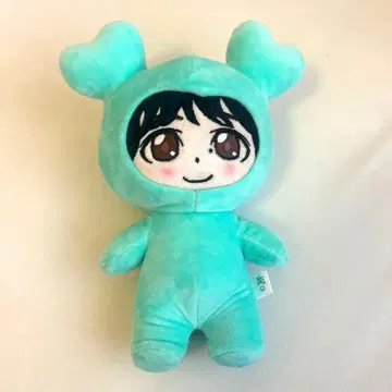 K-POP TWICE MINA 민트 그린 후드 부착 봉제 인형