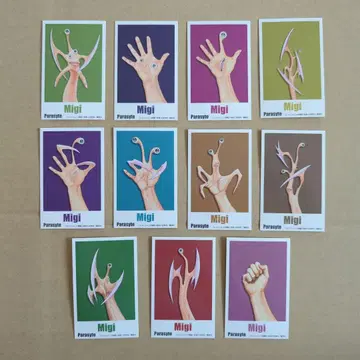 기생수 포토 카드 11장 컴프 세트 히스토리 칠석의 나라