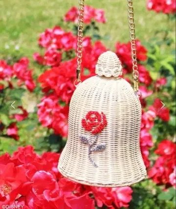 미녀와 야수 카고백