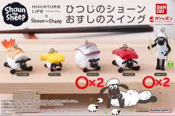 숀더쉽 초밥 스윙