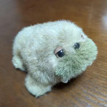 바다코끼리 봉제 인형 ALFA 알파