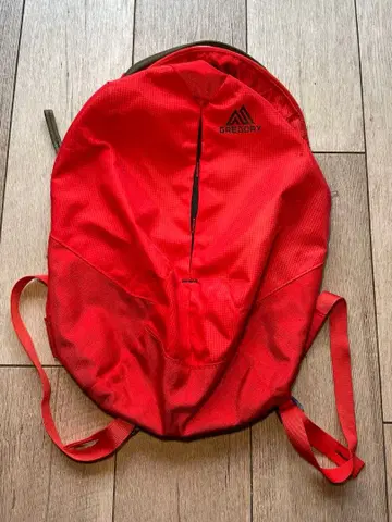 그레고리 스케치15 GREGORY SKETCK