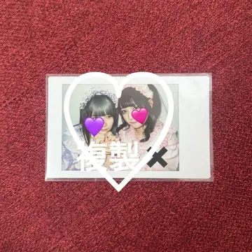 큐르링 해봐 큐르해 치바 유나 타마키 야네 타네츠나 폴라로이드 VIP