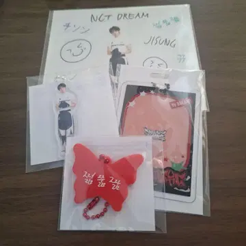 NCTDREAM 드림쇼4 랜도이 지성