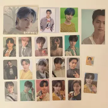 SEVENTEEN 세븐틴 세부치 디노 트레이딩 카드