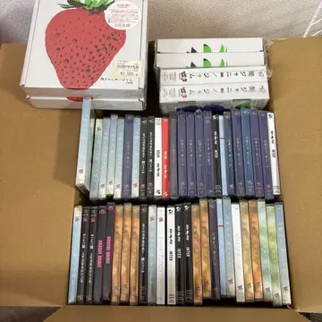 칸쟈니 아라시 키스마이 미개봉 CD 세트