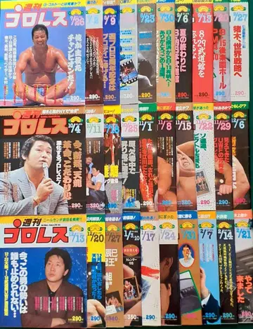 주간 프로레슬링 1988년 7월 ~ 1989년 2월 발행 30권 세트