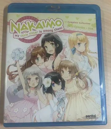 이 중에 한 명 여동생이 있어! Blu-ray 수입반