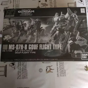 HG MS-07H-8 GOUF FLIGHT TYPE