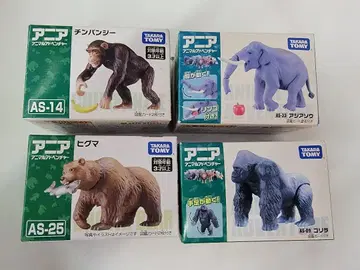 아니아 4개 세트