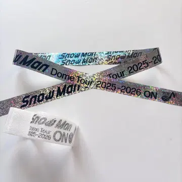 SnowMan Dome Tour 2025-2026 ON 낙하물 2