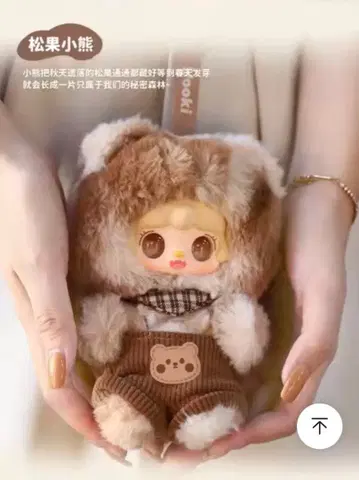 yooki 동면 계획 작은 곰 동면 솔방울 작은 곰