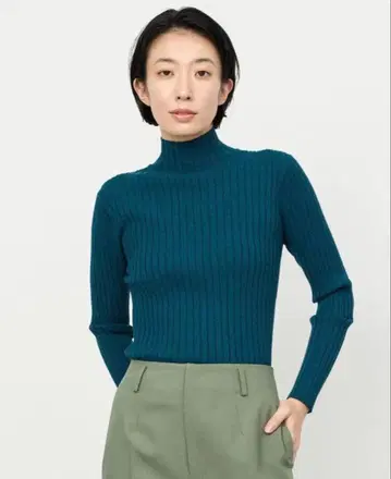 soeju 소에쥬 와이드 리브 터틀넥 니트