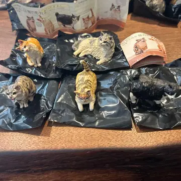 하시모토 미오 고양이 피규어 6체 세트