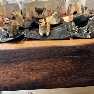 하시모토 미오 고양이 조각 2종 전 5가지 가챠 컴플리트 세트