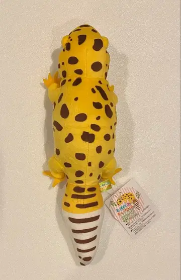 레오파의 키이짱 약 33cm 나카요시 봉제 인형 키이짱