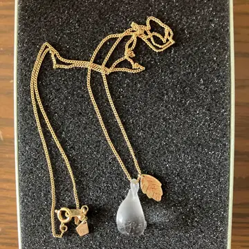 지브리 파크 한정판 HARIO 목걸이 나뭇잎과 토토로 박스 포함