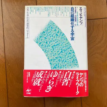 자기 조직화하는 우주 자연 생명 사회의 창발적 패러다임 에리히 얀츠 저