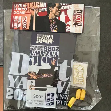 YAZAWA 2025 SS 핀 배지 외 덤