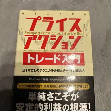 프라이스 액션 트레이드 입문