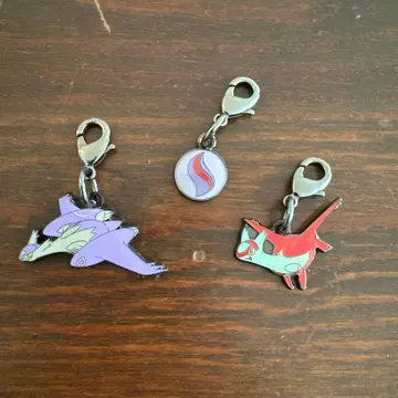 메가라티아스 메탈 참 메가진화